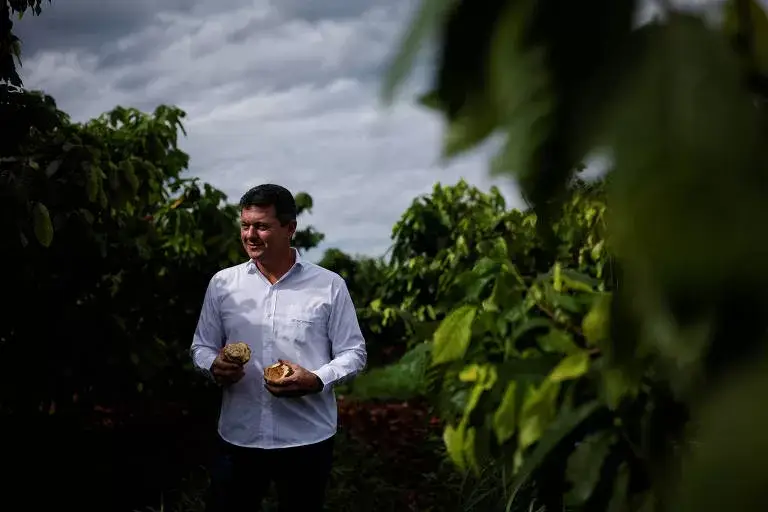 Investimento de US$ 300 milhões na Bahia pode tornar candidato a Rei do Cacau dono da maior fazenda de cacau do mundo.