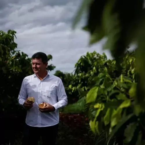 Investimento de US$ 300 milhões na Bahia pode tornar candidato a Rei do Cacau dono da maior fazenda de cacau do mundo.