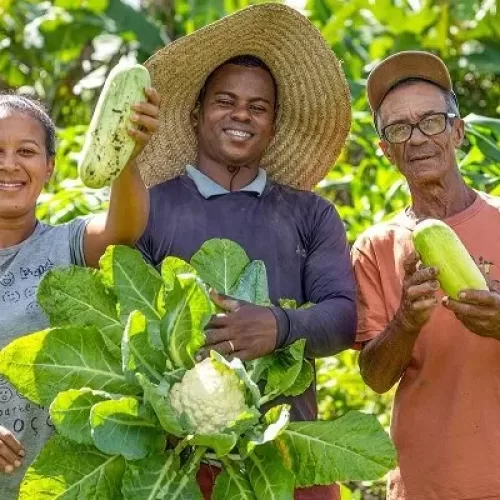 Bahia implementa Estratégia de Crédito Assistido e amplia acesso ao Programa Nacional de Fortalecimento da Agricultura Familiar