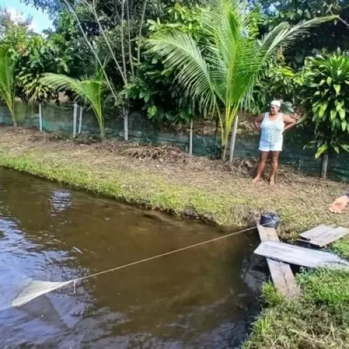Prefeitura de Valença promove visita técnica a piscicultores da zona rural